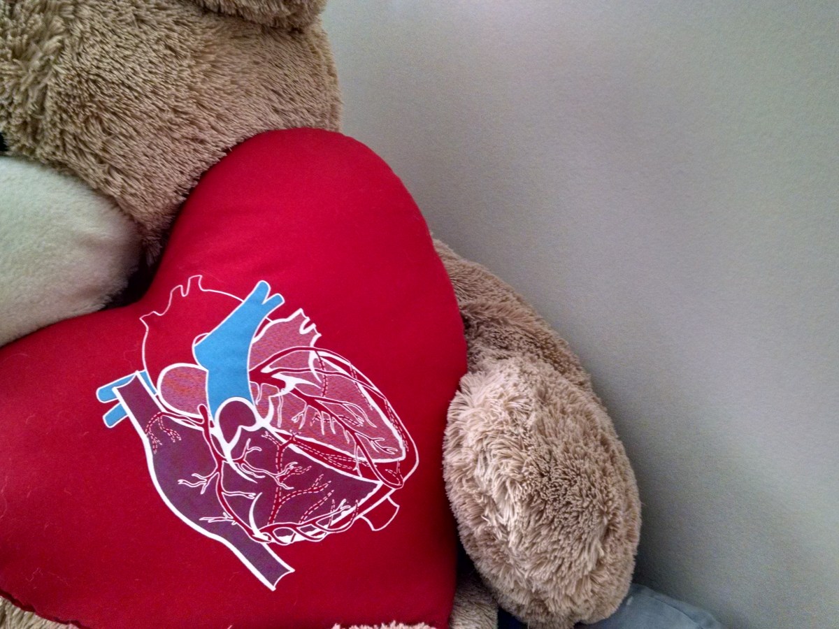 I Finally Went to the Cardiologist