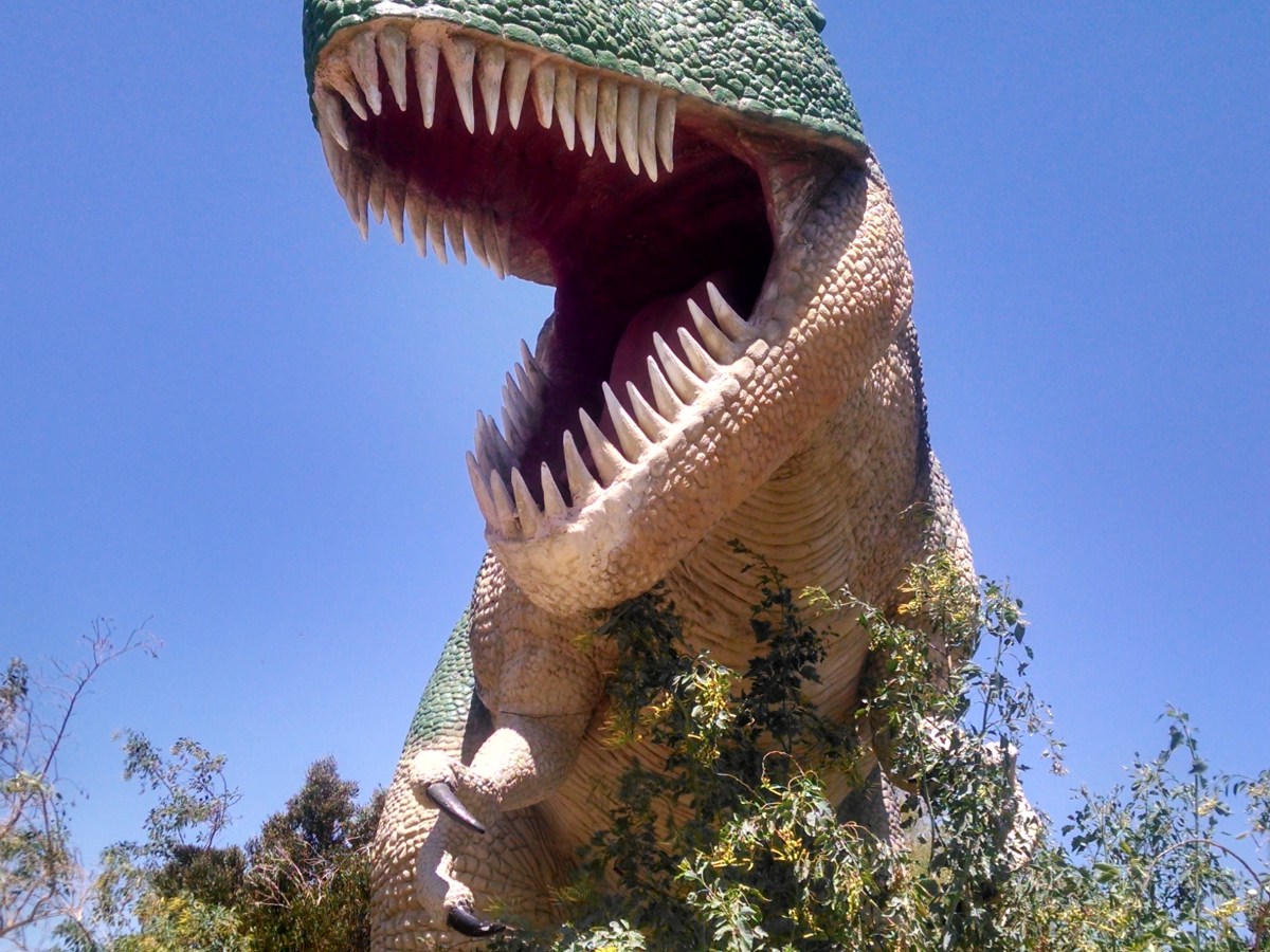 Lessons from a Cardiac Unit: A Patient’s Perspective