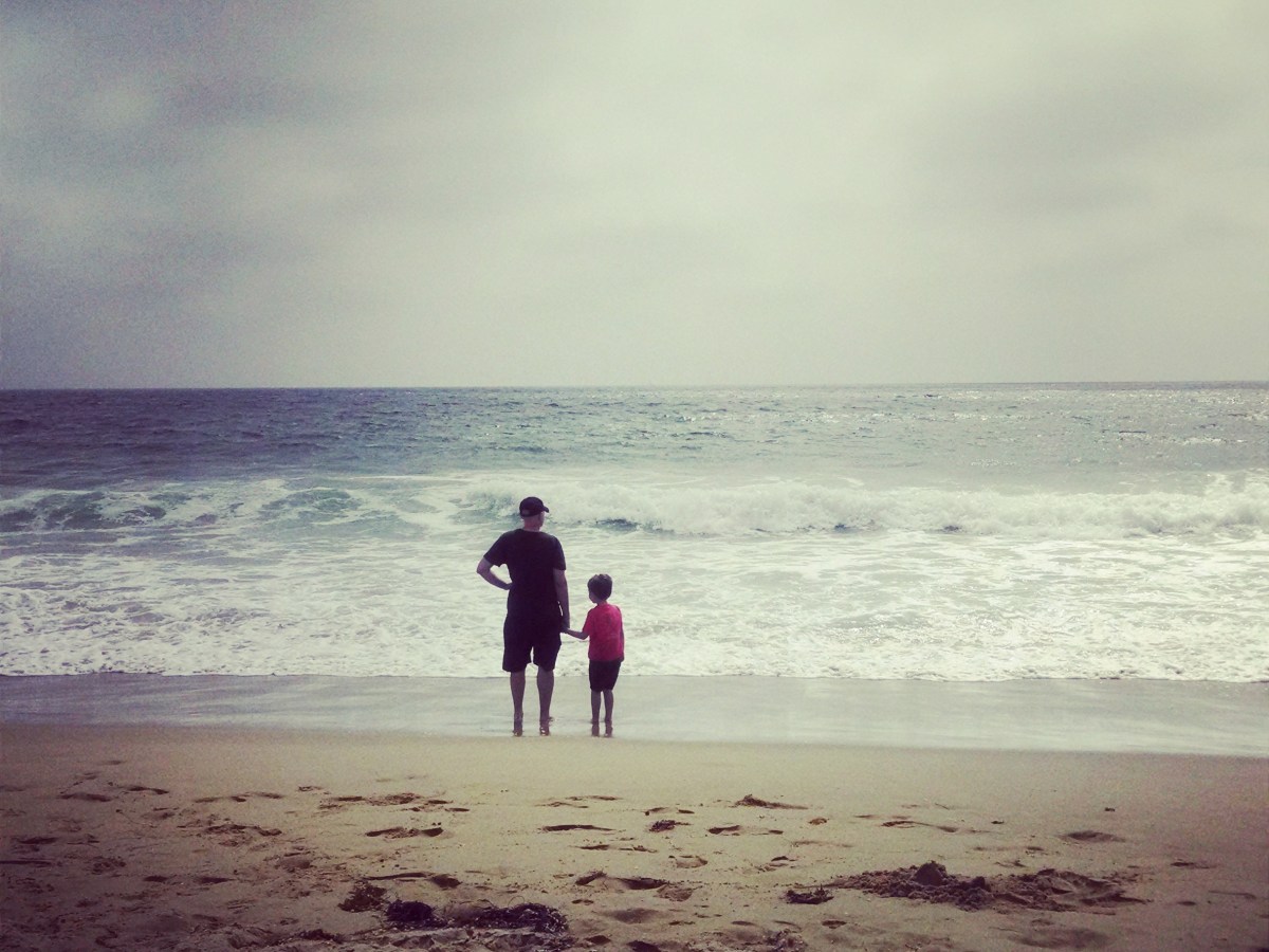 Our Brains on Summer