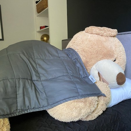 Stuffed giant bear sleeping with a weighted blanket on top of him.