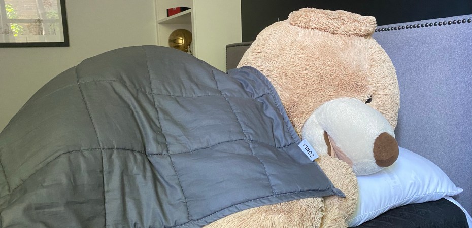 Stuffed giant bear sleeping with a weighted blanket on top of him.